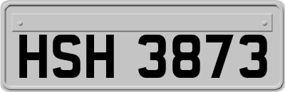 HSH3873