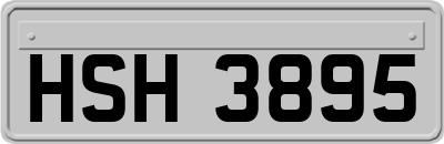 HSH3895