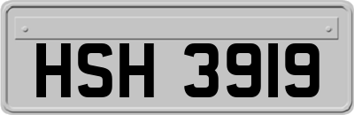 HSH3919
