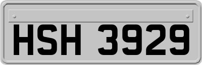 HSH3929