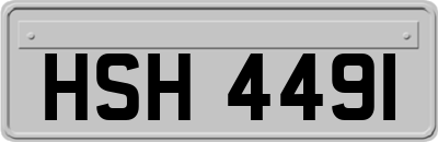 HSH4491