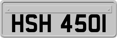 HSH4501