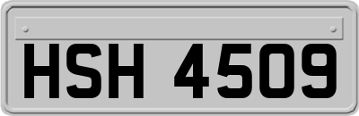 HSH4509