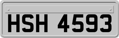 HSH4593