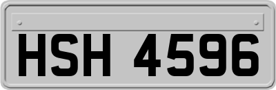 HSH4596