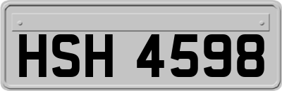 HSH4598