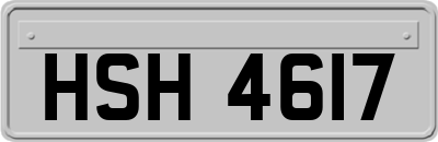 HSH4617