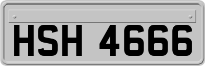 HSH4666