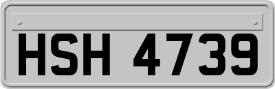 HSH4739