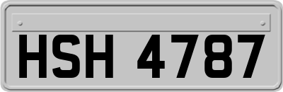 HSH4787