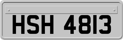 HSH4813