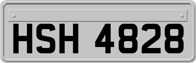 HSH4828