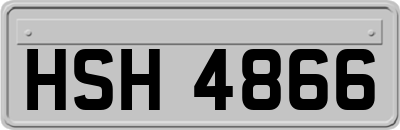 HSH4866
