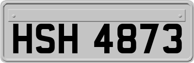 HSH4873