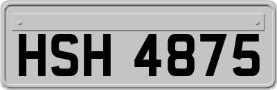 HSH4875