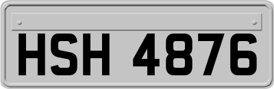 HSH4876
