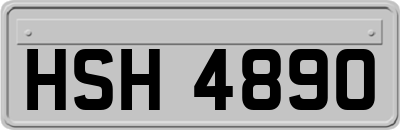 HSH4890