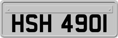HSH4901