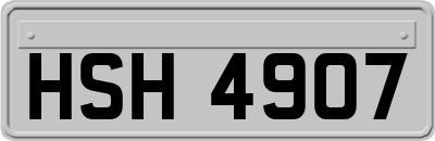 HSH4907
