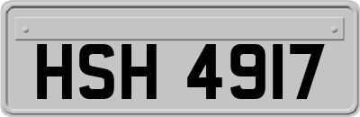 HSH4917