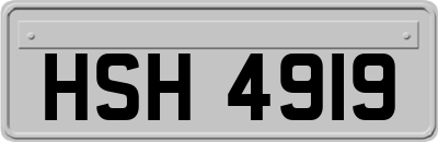 HSH4919