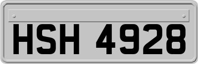 HSH4928