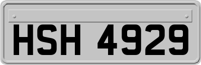 HSH4929