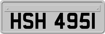 HSH4951