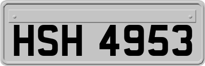 HSH4953