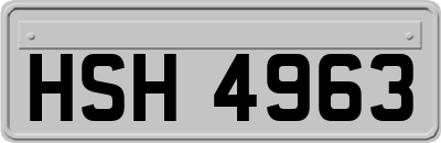 HSH4963