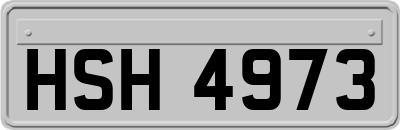 HSH4973