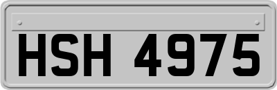 HSH4975