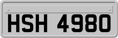 HSH4980