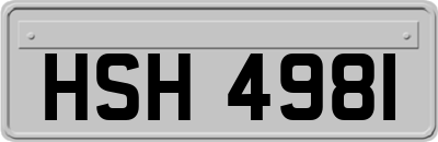 HSH4981