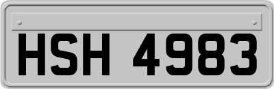 HSH4983