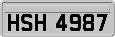 HSH4987