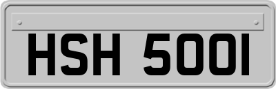 HSH5001