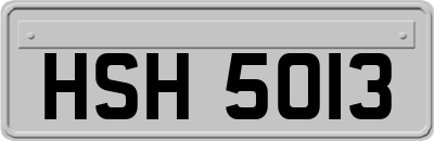 HSH5013