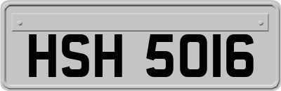 HSH5016