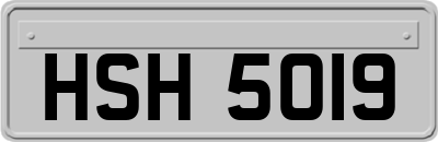 HSH5019