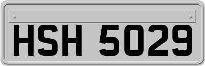 HSH5029