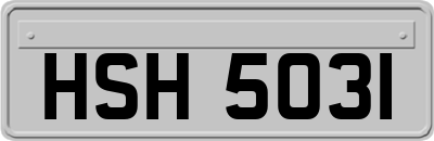 HSH5031