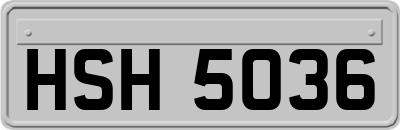 HSH5036