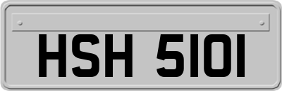 HSH5101