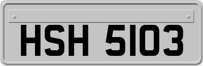 HSH5103