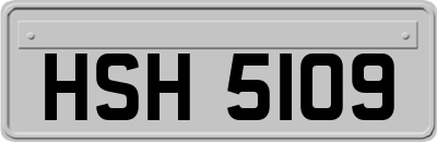 HSH5109