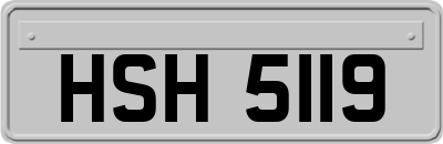HSH5119