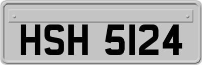 HSH5124