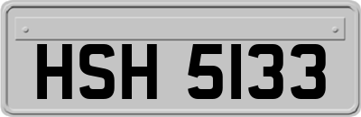 HSH5133