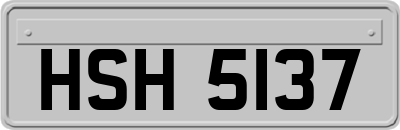 HSH5137
